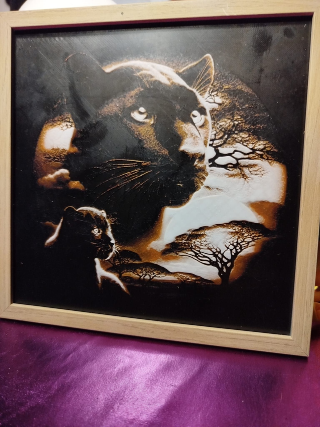 La savane et ses mystères